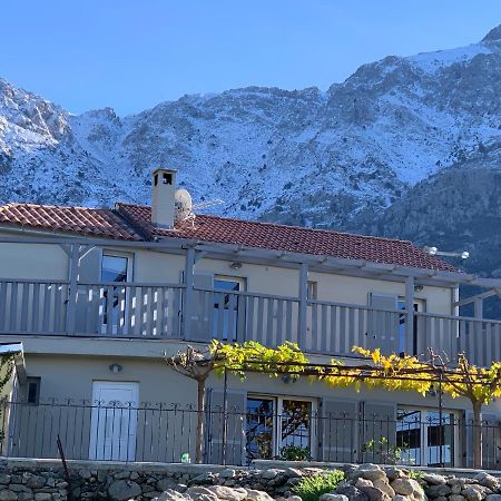 Casa Basgiu, Chambres Avec Balcon Et Table D'Hotes Zilia Eksteriør bilde