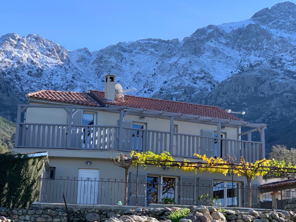 Casa Basgiu, Chambres Avec Balcon Et Table D'Hotes Zilia Eksteriør bilde